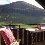 شقة Erikas Haus Münstertal