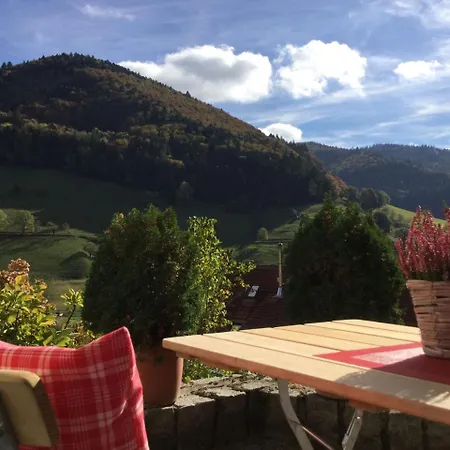 Erikas Haus דירה Münstertal