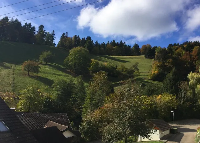 Appartement Erikas Haus *